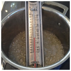 Candy Thermometer and Pan